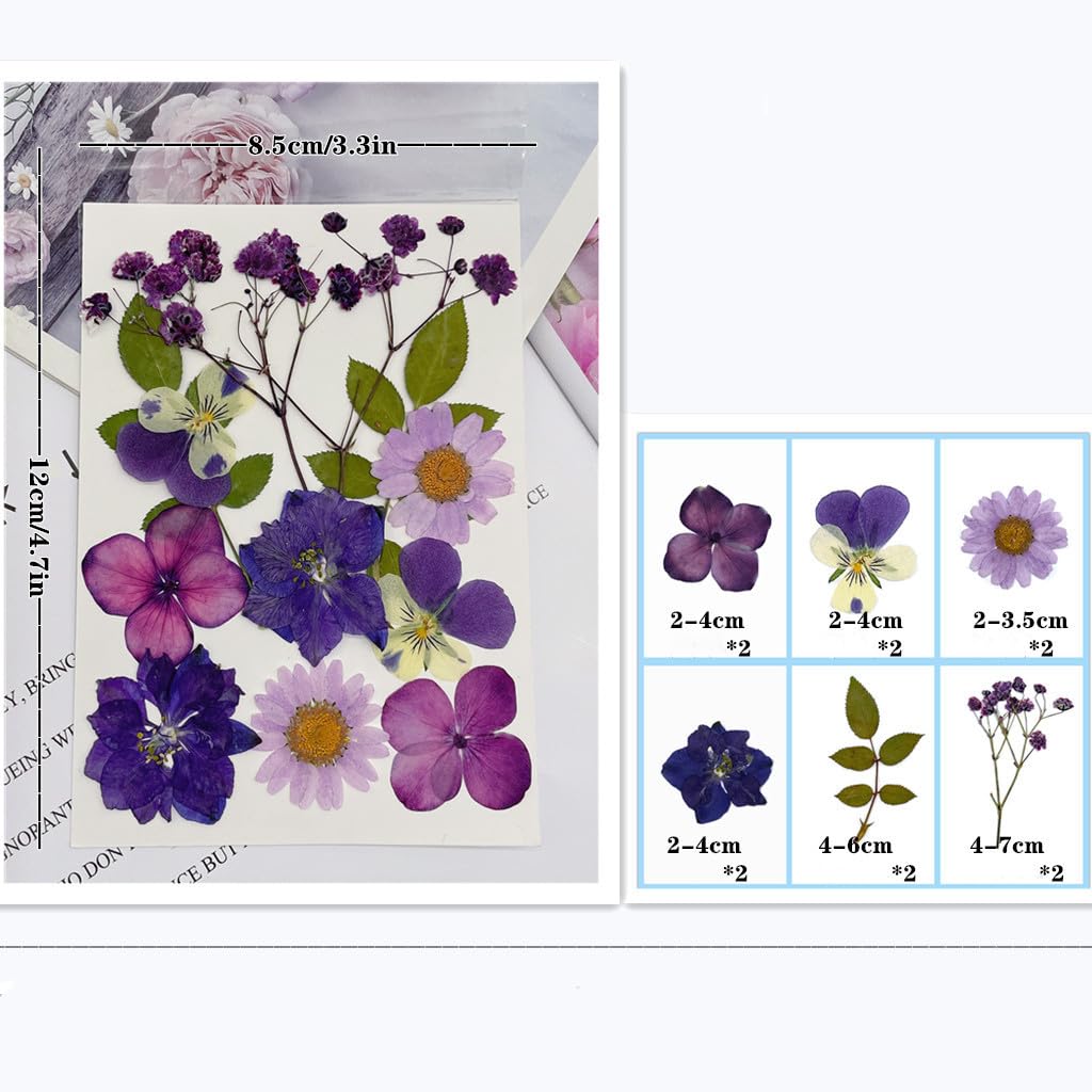 72 Piezas Flores Secas Naturales Mixtas Flores Secas Prensadas Kit de Hojas Secas Hierbas Naturales para Resina Álbumes de Recortes DIY Regalo Scrapbooking Joyas Uña Pendientes Arte