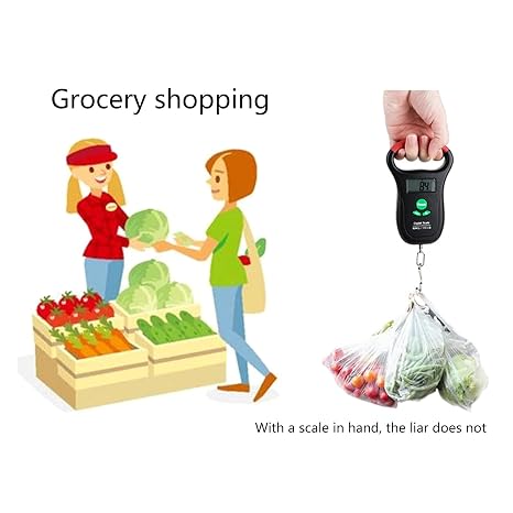 50kg Portable Luggage Scale Digital Precise Fish Hook Hanging Scale Electronic Weight Scale for Travel Household Luggage Scale with Hook Digital Luggage Scale for Travel