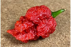 The Beast Red, The Hottest Pepper In The World - Carolina Reaper Seeds