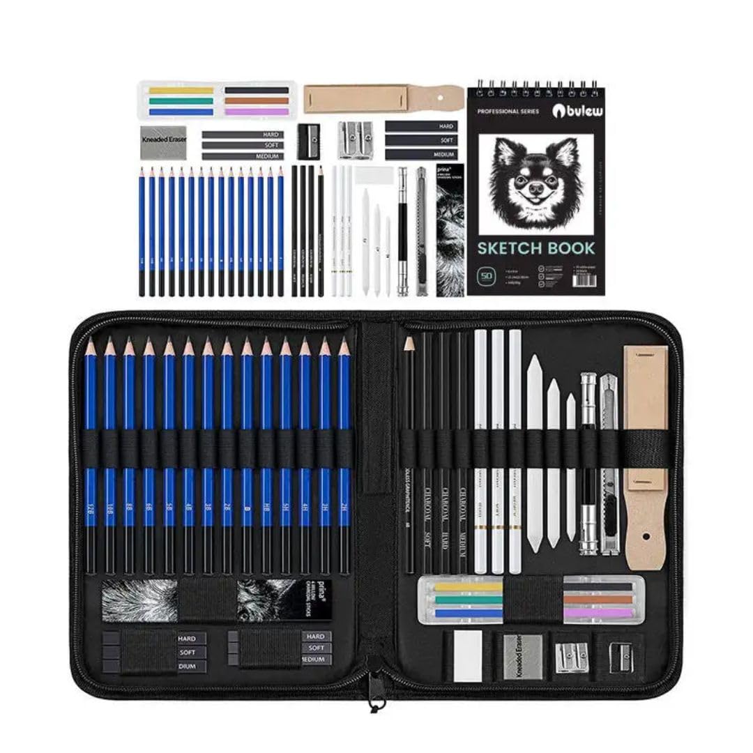 Synthiglow 48 Pieces Professional Set of sketching drawing kit with shading book(3 colour paper) Includes Black & white Charcoal Pencils and Graphite Sticks for Artists (B0CTHJ26JV) Amazon Price History, Amazon Price Tracker
