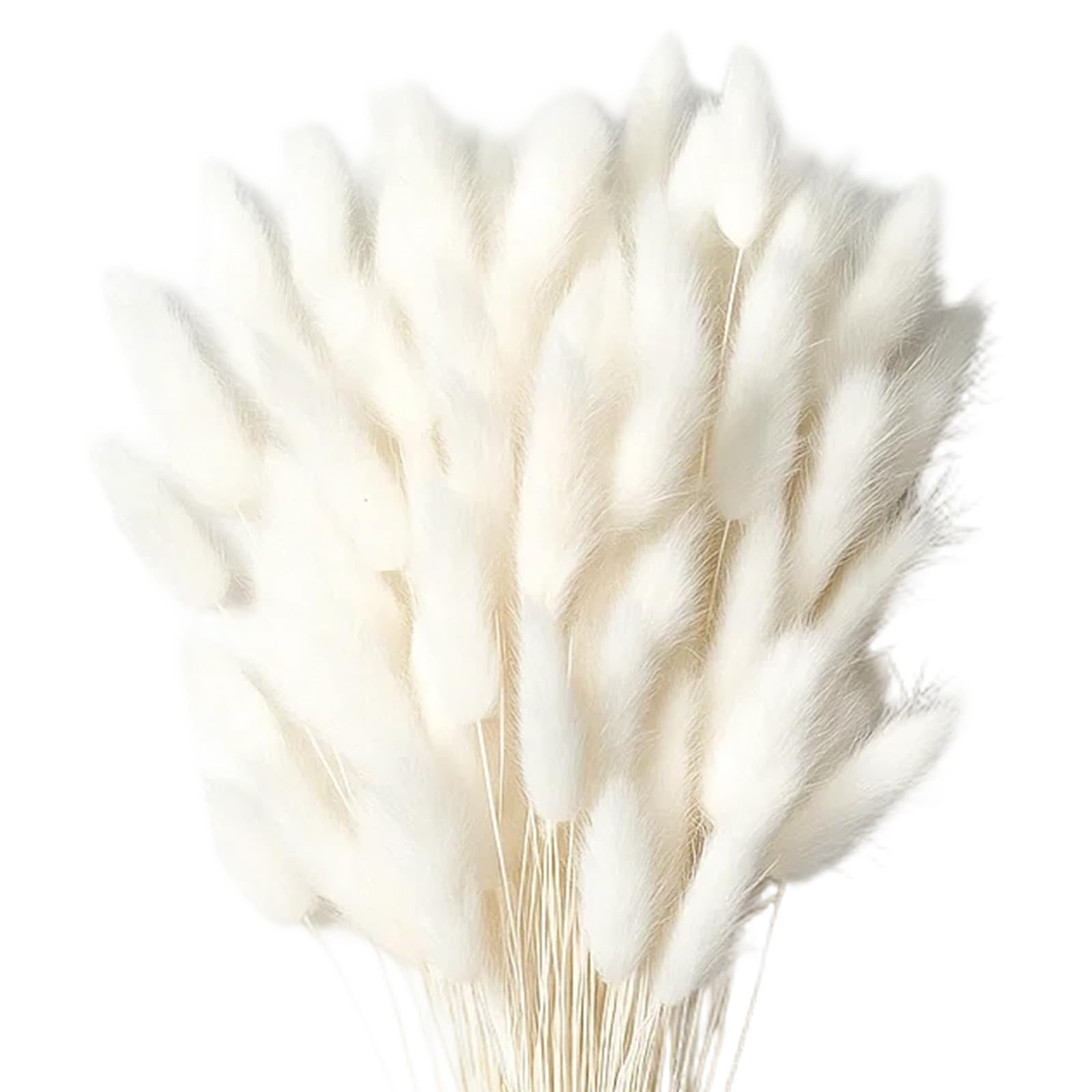 60pcs Pampas Grass Artificial, Bunny Tails Dried Flowers For Vase, 33cm Floral Arrangement Decor, Boho Home Decoration, Party, Artificial Dried Flowers Bouquet For Cake, Rustic Wedding Centerpiece