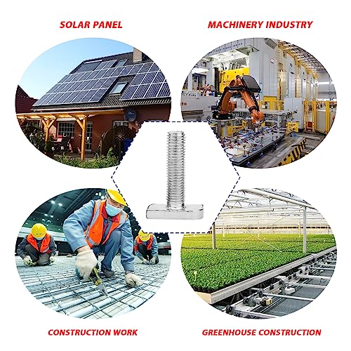 Vordpe 10 Stück Hammerkopfschrauben Set, M8 x 25mm Edelstahl A2-70 Photovoltaik, mit Flanschmutter, für pv Module Photovoltaik-Aluprofil Gewächshaus Photovoltaik Solar Montageschiene
