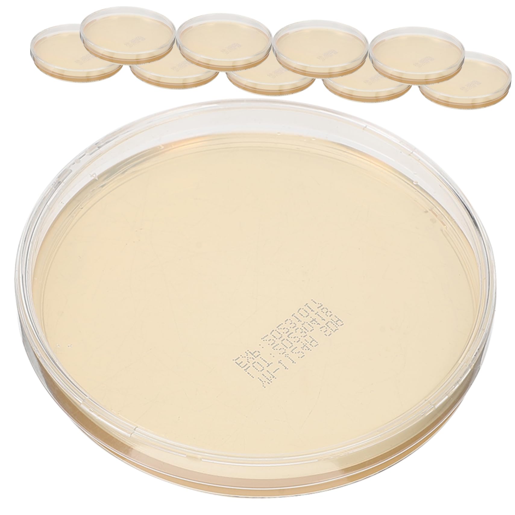 Buy MUSISALY 10pcs ent Agar Plate Practical Science Petri Dishes Portable Prepoured Agar Plates