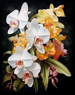 5D Diamond Painting Kits by Number for Adults Orchid Flowers Diamond Art Diamond Painting Full Round Drill Color Rhinestone Embroidery Craft Kits for Home Wall Decor Kits 40x50cm(1-26)