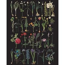 Annie Sloan RHS Decoupage Papers Formal Garden