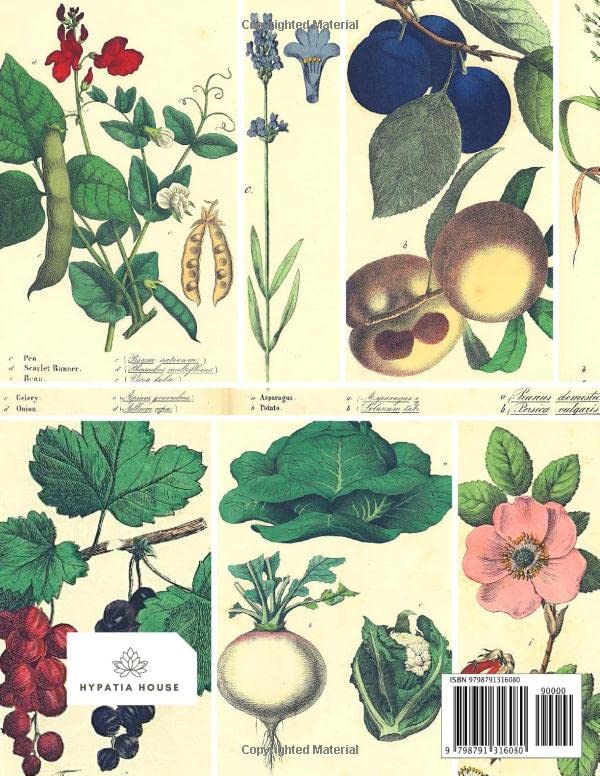 Miniatura 2 de Seasonal Recipe Collection - Apricot Mushroom Blank Cookbook Natural Season Harvest Garden Ingredient Prompts Dish Journal