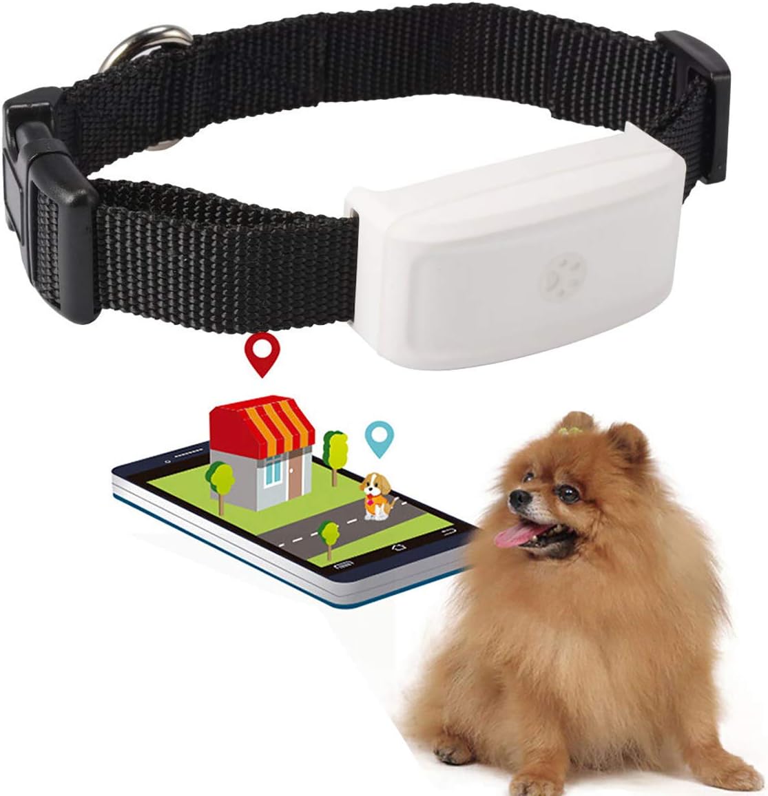 Gps Tracker Katze Höhle Der Löwen Weenect XS für Katzen - NEU Mini GPS-Tracker für Katzen | GPS-Tracking