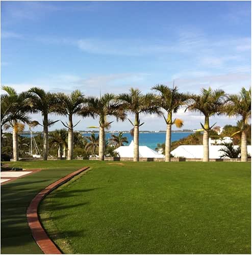 Brownie Brand Majestic Hulled Bermudagrass Seed | Premium Turf Grass