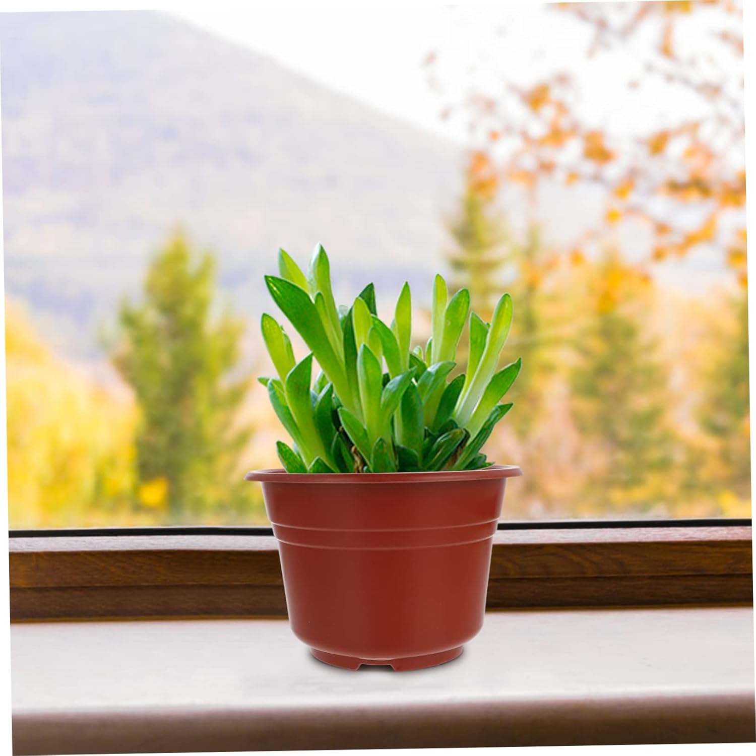 50pcs Multi Soft Plastic Flower Nursery Pots for and Non-deformable Planter Drainage for Transplanting Flowers and Vegetables