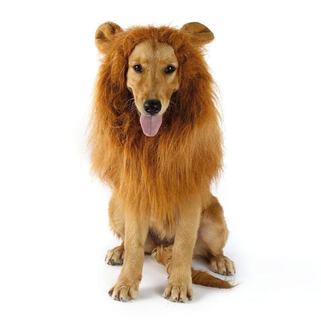 Foto 5 de 7 de Disfraz de Melena de león para Perros y Gatos medianos a Grandes Peluca de Melena de león Realista Realista…