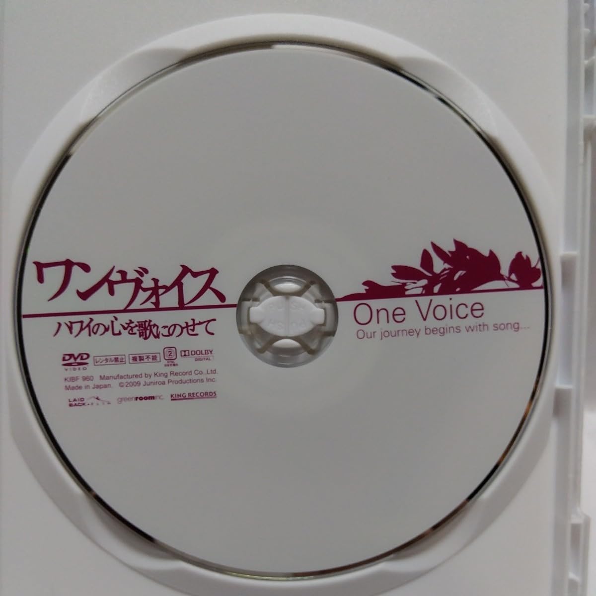 ワンヴォイス ハワイの心を歌にのせて DVD