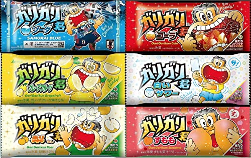 赤城 ガリガリ君 アソート6種×各2本 12本 + おまけ1本 計13本