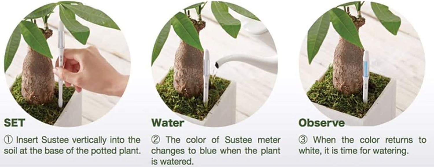 IPPINKA Sustee Aquameter, Bundle of 12, House Plant Soil Moisture Meter, Best for Indoor Potted Plants - Large White Refillable