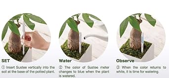 IPPINKA Sustee Aquameter, Bundle of 12, House Plant Soil Moisture Meter, Best for Indoor Potted Plants - Medium Green Refillable