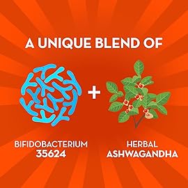 Align Probiotic, Gut Health + Stress Support, with Probiotics for Digestive Health and Ashwagandha to Help Calm Mind and Body*, 1 Doctor Recommended Brand, 21 Capsules