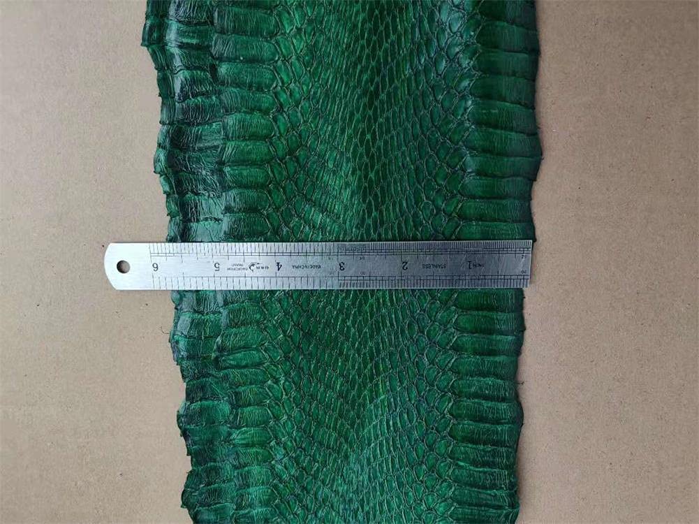 Amazon.com: Snake Skin Snakeskin Pieces Assorted Colors Hide  display picture 1