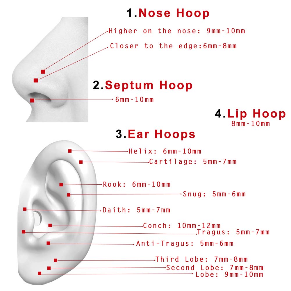Feng Shui， 20G 18G 16G Klare CZ Nasenringe Hoop 316L Chirurgenstahl Knorpelohrringe Hoop 5-12mm Piercingschmuck Daith Helix Rook Tragus Piercingschmuck Edelstahlohrring Silber Conch Piercingschmuck