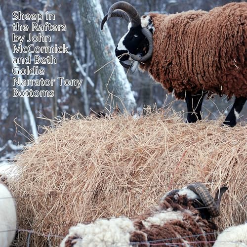 Sheep in the Rafters by John A. McCormick, Beth Goldie episode artwork