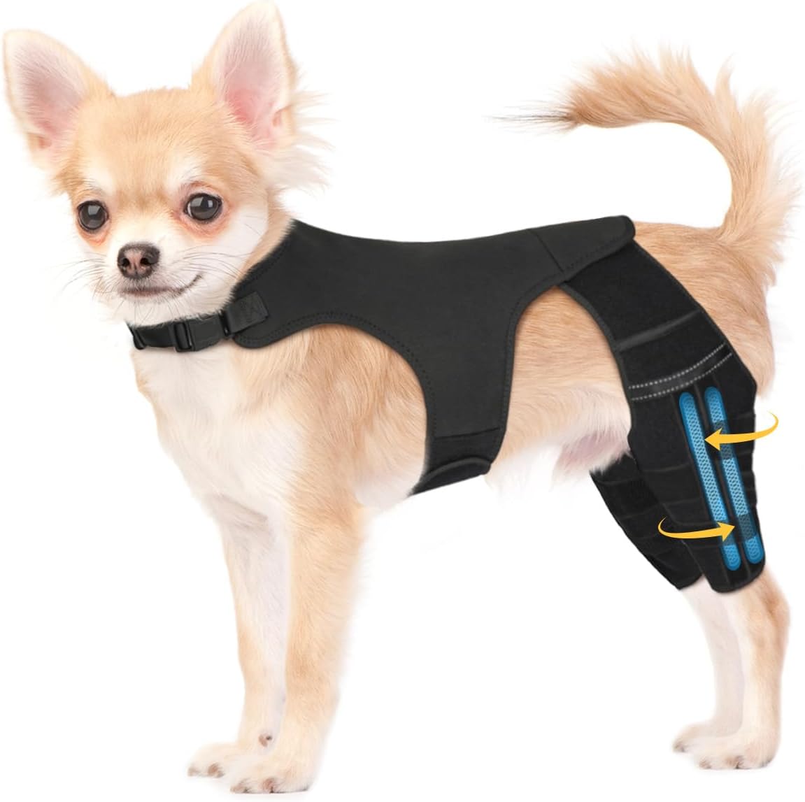 Dog Leg Braces for Back Leg, Adjustable Dog Knee Brace for Torn Acl Hind Leg with 4 Stabilizers, Hip Support to Reduces Pain, Ligament Injuries for Small Medium Large Dogs