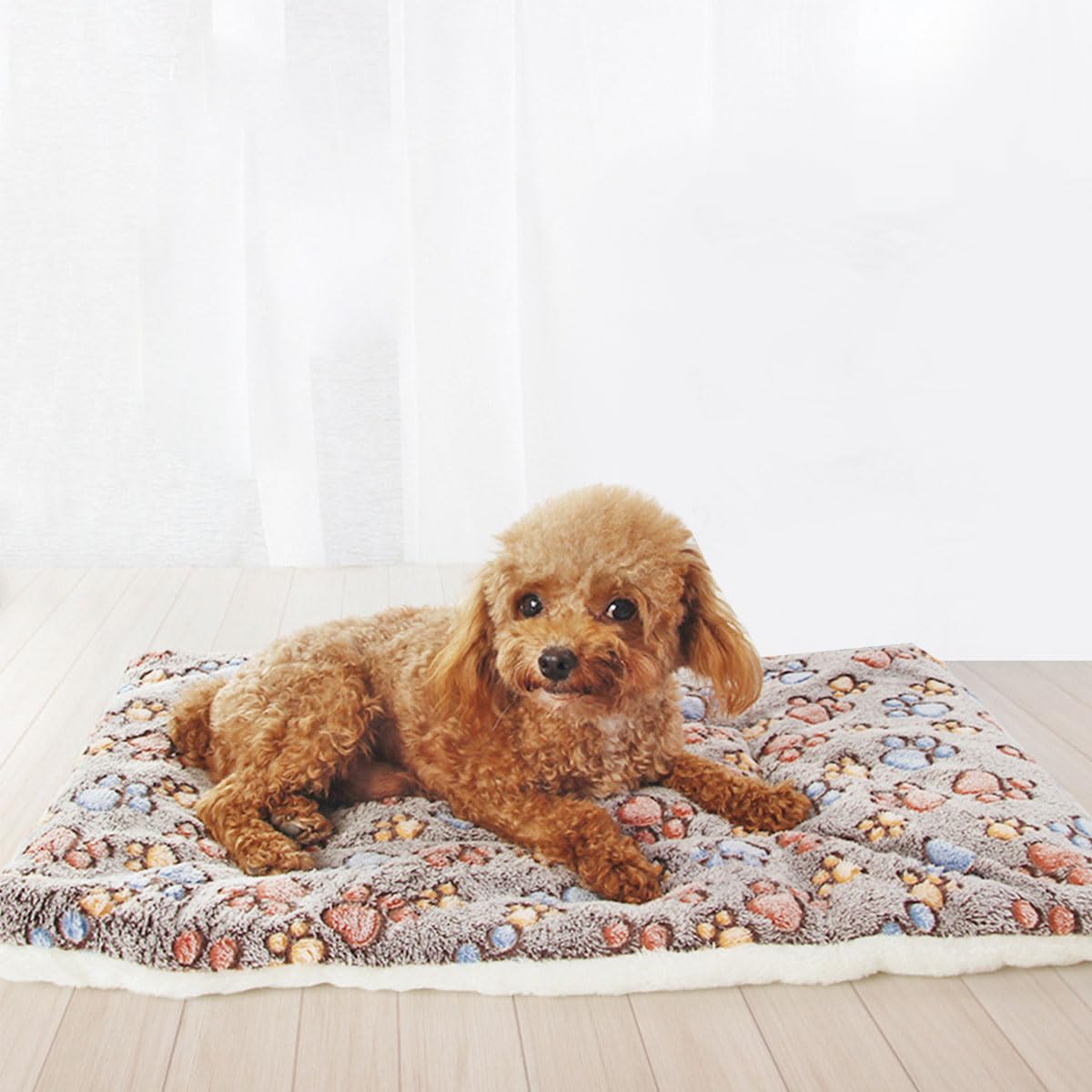 Helweet Hundematte, Haustiermatten, Hundekissen Waschbar, Haustier Schlafmatte, Matte für Hunde und Katzen, Weiches Farran-Material, Maschinenwaschbar, Trocknergeeignet für Hunde, Katzen, 61 X 41cm