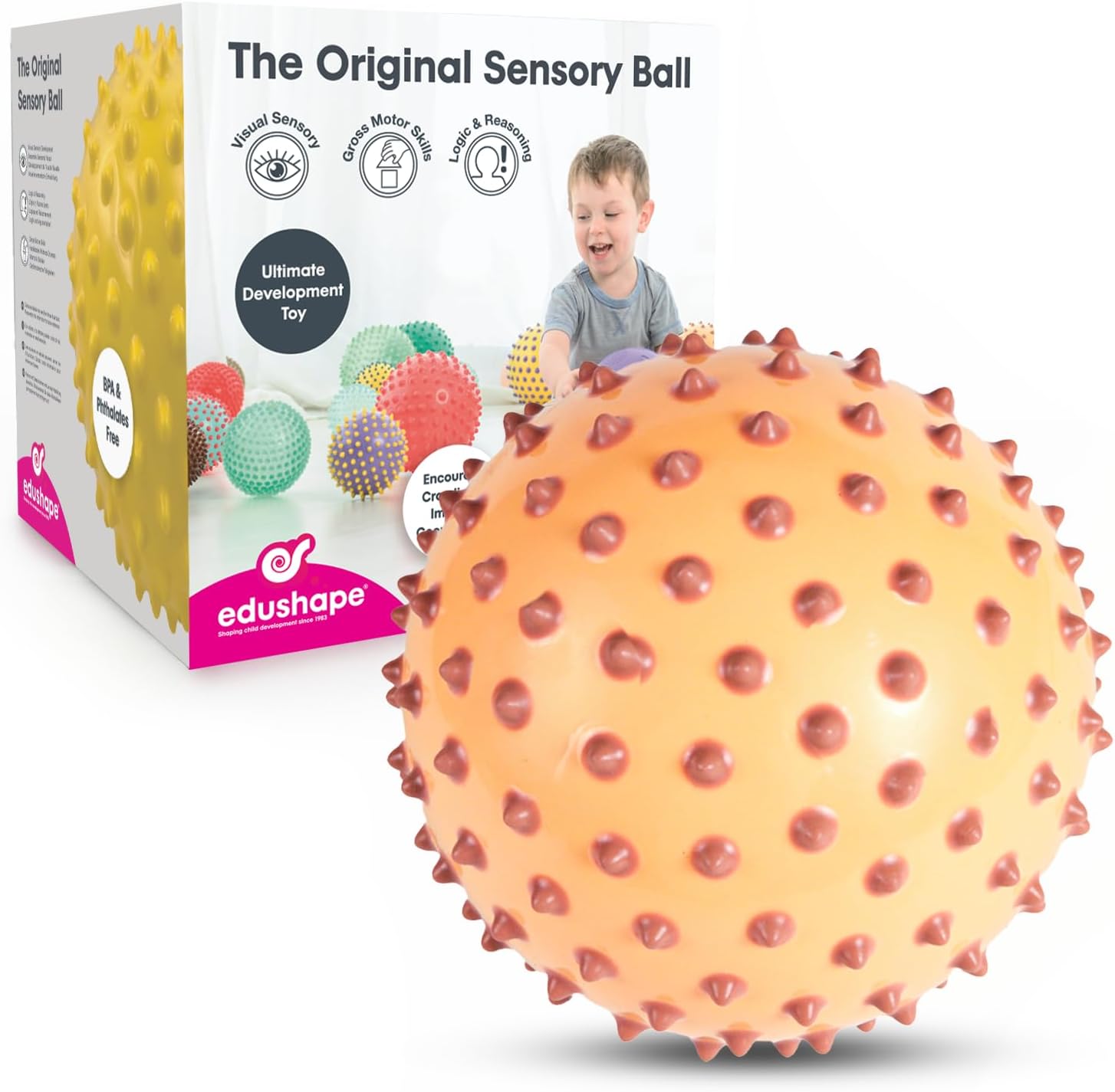 Edushape The Original Sensory Ball for Baby - 7" Baby Ball that Helps Enhance Gross Motor Skills for Kids Aged 6 Months & Up - Vibrant, Colorful and Unique Toddler Ball