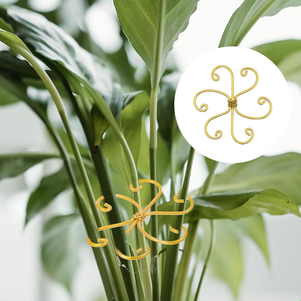 Ensemble de support de tige de plante grimpante, treillis en métal réutilisable pour plantes grimpantes, piquets de support pour plantes d'intérieur (6, cœur doré)