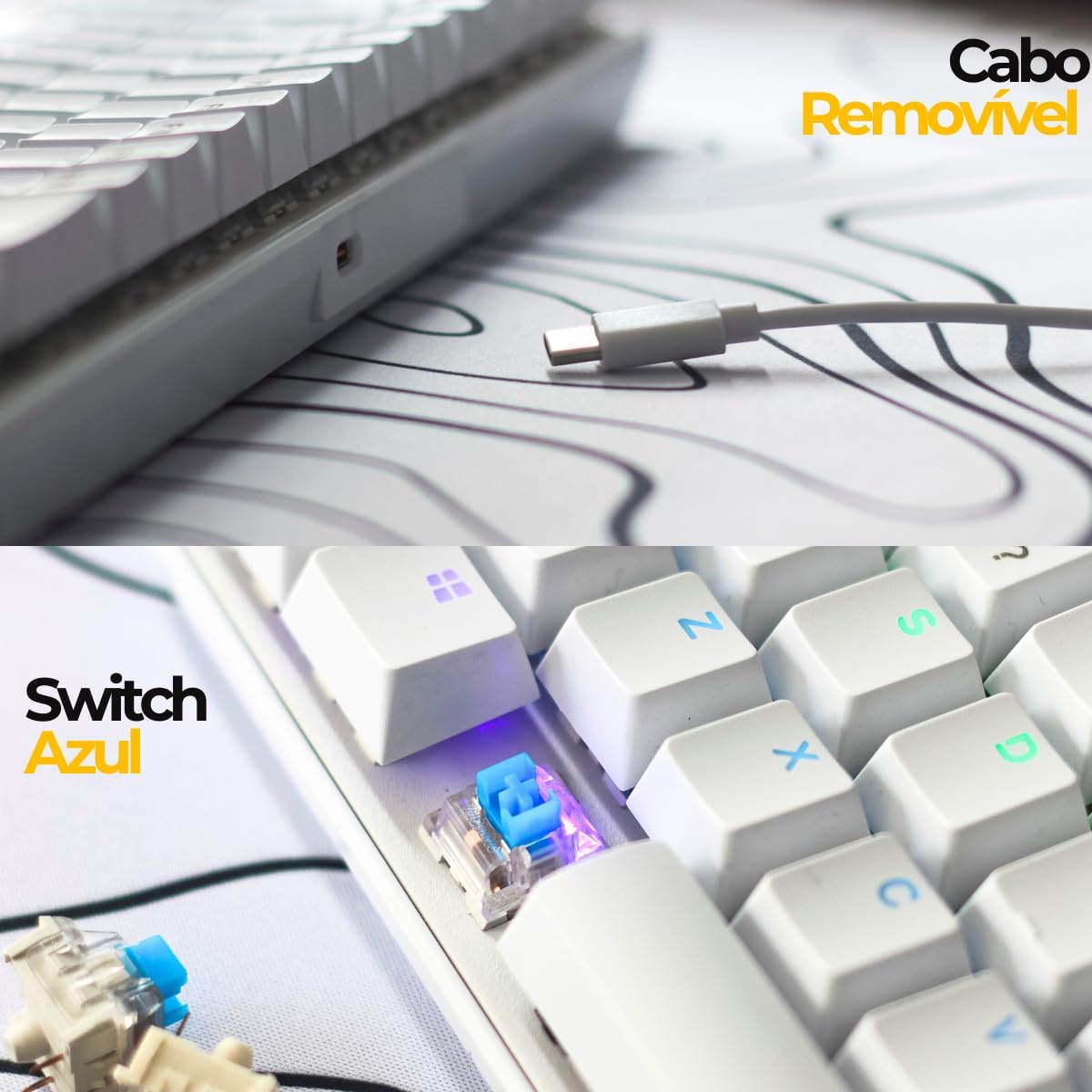 Removable USB-C cable connection and blue switch detail