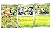 Decidueye ex 015/197 Double Rare - Obsidian Flames - Pokemon Evolution 3 Card Lot