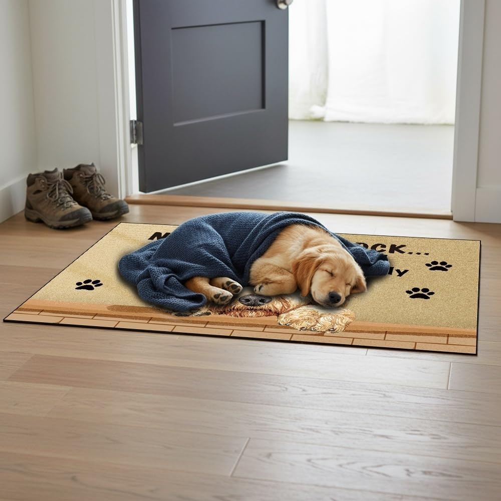 Personalized Funny Welcome Doormat American Pit Bull Terrier Dog Custom Name Photo Floor Mat Entrance Way Decor Rug for Dog Lovers No Need to Knock I Know You are Here 17.7" x 27.5"