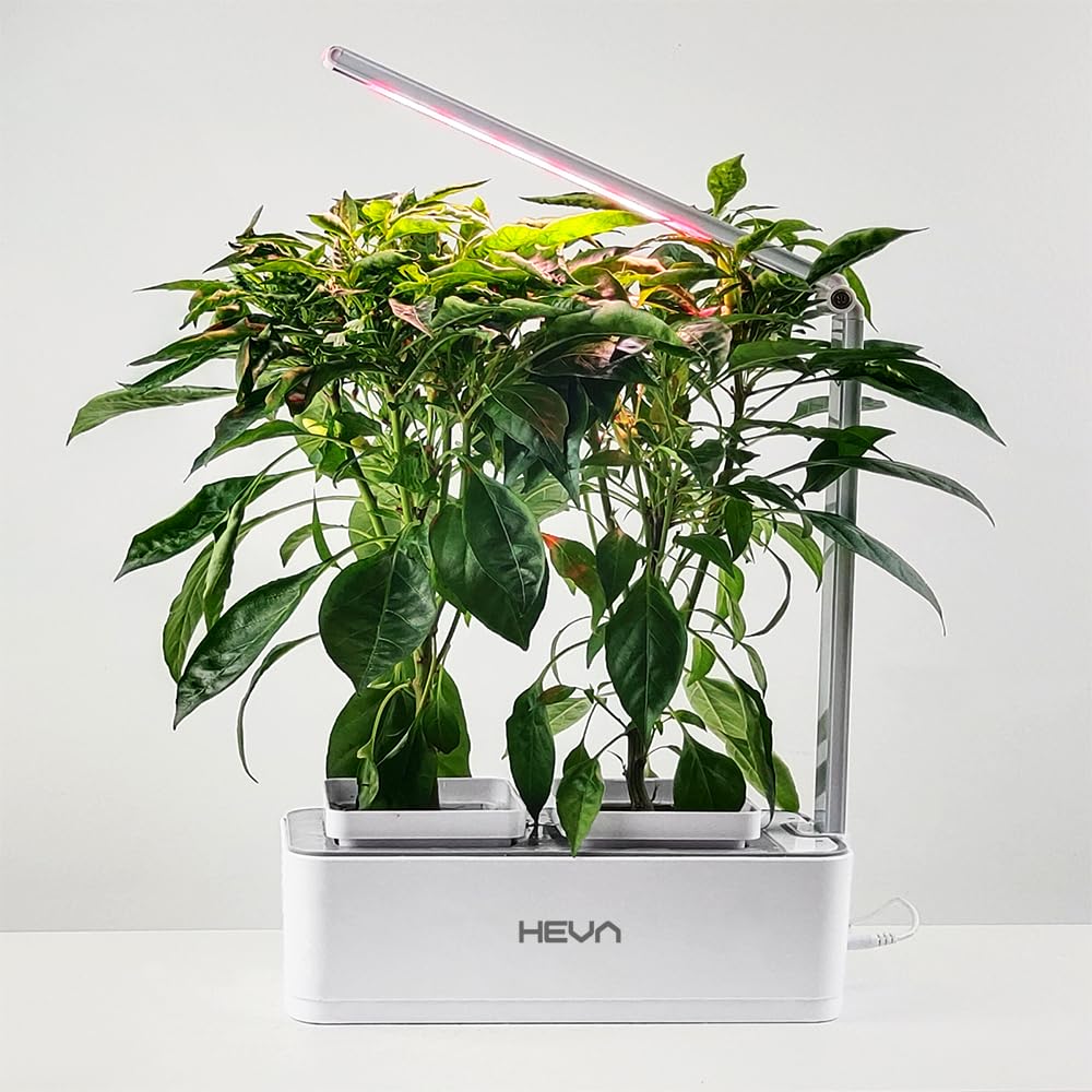 Eberg HEVA LIF Hydrokultur System, Indoor Garten mit LED Pflanzenlampe, 2 Pflanzplätze, 1 L Wassertank, Wasserstandssensor, Hydroponik Set, Weiß