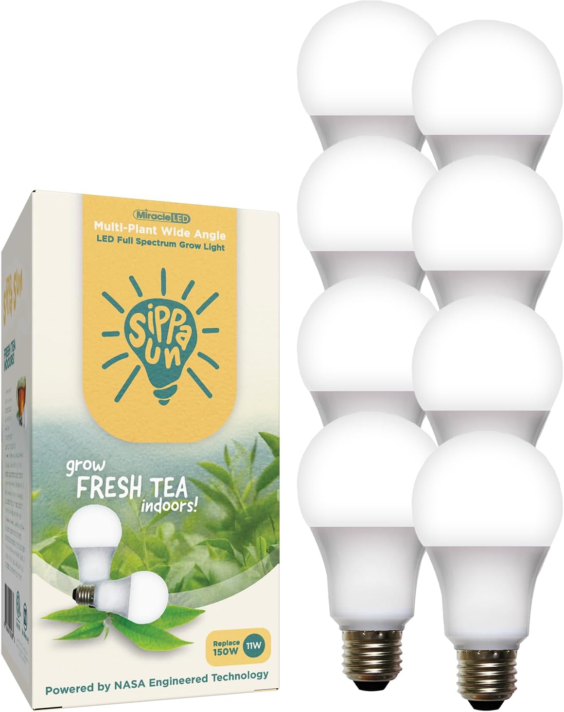 Miracle LED Sippa Sun Indoor Tea Grow Light Bulb – Multi-Plant Full Spectrum Replace 150W Grow Bulbs for Home Grown Green, Black, Oolong Tea (8-Pack)