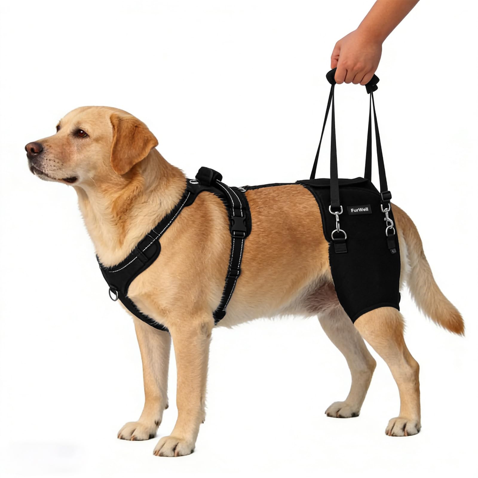 Photo 1 of FurWell Dog Hip Brace for Hip Dysplasia & Arthritis - Adjustable Support Wrap with Removable Pads, Lifting Handle & Stabilizing Straps for Large Medium Dogs - Relief for Pain, Weakness & Lameness(XL)