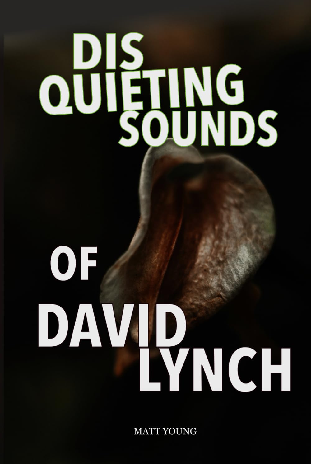 Disquieting Sounds of David Lynch