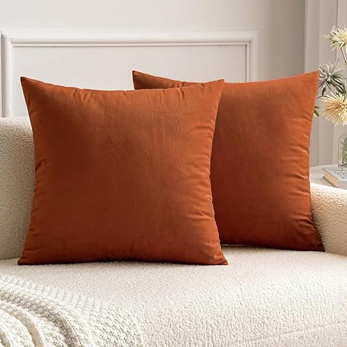 MIULEE Pack of 2 Rust Pillow Covers 18x18 Inch Fall Decorative Velvet Throw Pillow Covers Modern Soft Couch Throw Pillows Farmhouse Home Decor for Sofa Bedroom Living Room