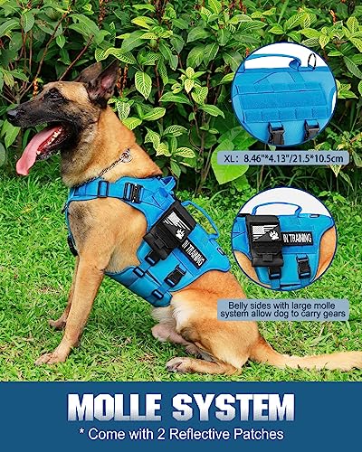Image of PETNANNY Tactical Dog Harness - No-Pull Service Vest for Large Breeds, with Hook & Loop Patch Panel & MOLLE System | Padded Handle for Walking, Hiking & Training (Blue,XL)