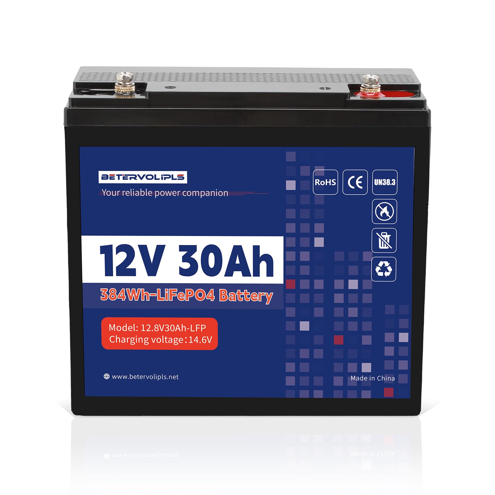 Amazon.com: 12V 30Ah Lithium LiFePO4 Battery, 4000+ Deep Cycles