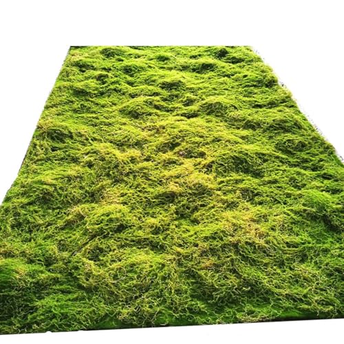 Natural-Looking Artificial Moss Clumps for Crafts Fairy Gardens Home Decor Soft Synthetic Moss(4 Size)