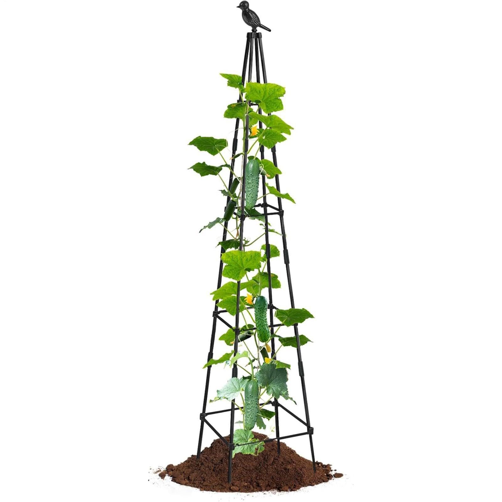Tuteur Obélisque de Jardin Cage de Support Vertical en Métal | Treillis Pour Jardinage Extérieur 160 Cm De Haut Pour Tomates Raisins Cactus Légumes Fleurs En Pot Intérieur Extérieur Cour