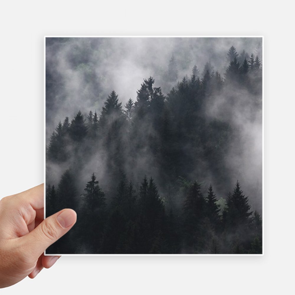Autocollant carré 20cm forêt sombre et brume pour déco de mur et ordinateur portable