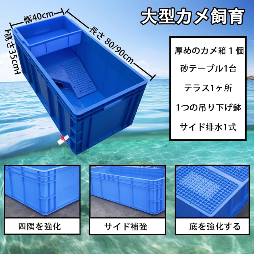 カメオ　ピルケース ミニチュア ビクトリア朝のカメオ ボックス ヴィンテージ 楕円形