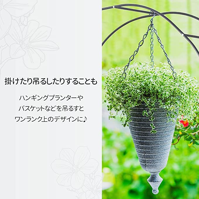 Amazon.co.jp: iimono117 Iron Flower Arch, Width 55.1 x Depth 15.0