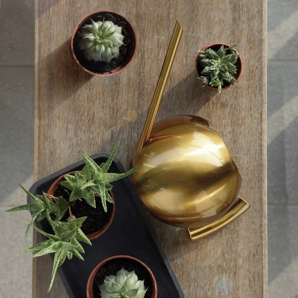 Regadera, Decorativa Moderna Regadera De Boca Larga Acero Inoxidable, Dorada, for Plantas Interior, for Jardín Bonsái Latas de Riego(A)