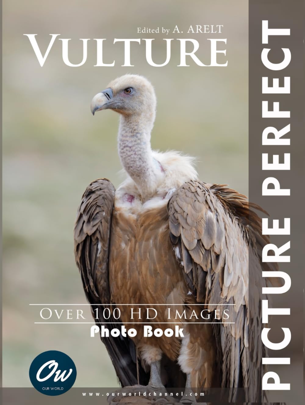 Vulture: Picture Perfect Photo Book