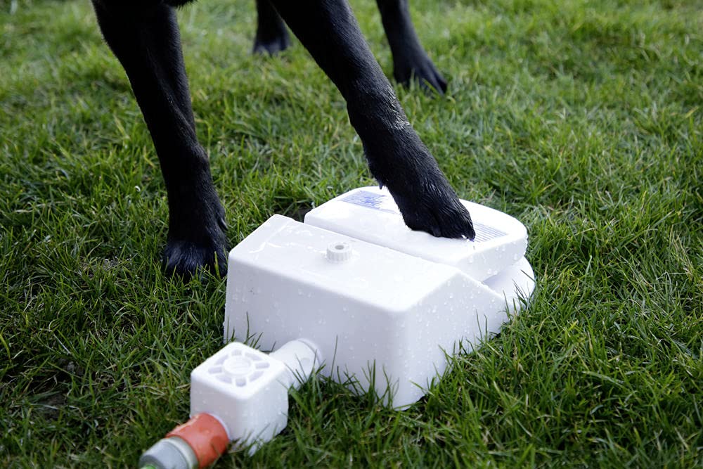 Kerbl Pet Wasserspringbrunnen Bubble, Trinkbrunnen, 25,5x18x8cm, weiß, blau, Kunststoff, Tierfütterung, Hunde, integrierter Wasserdruckregler