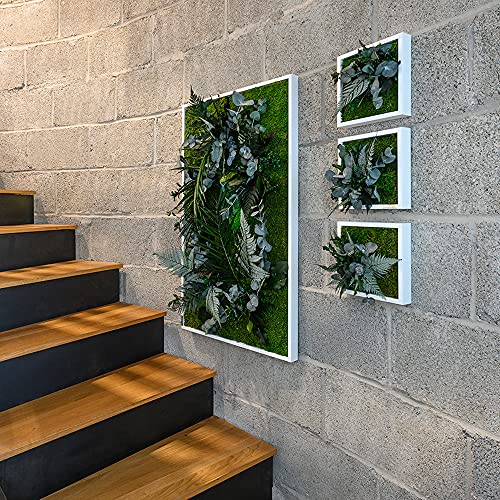 styleGREEN Pflanzenbild im Dschungeldesign 22x22cm 3er Set - Image 4