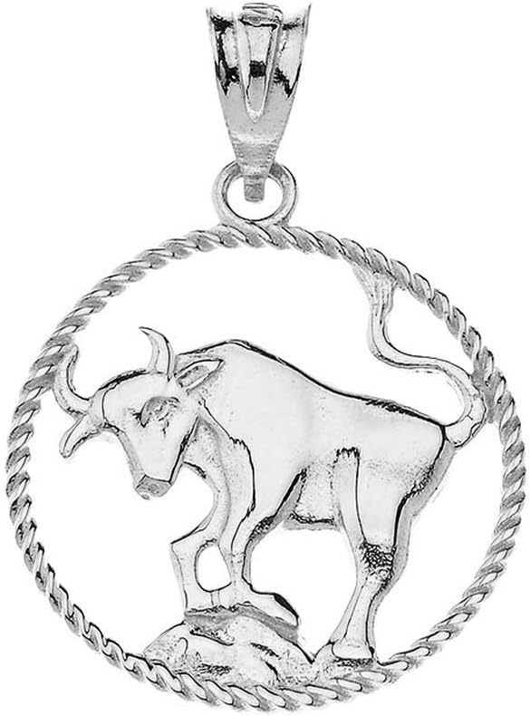 Exquisite 925 Sterling Silver Round Zodiac Sign Horoscope Constellation Rope-Style Charm Pendant