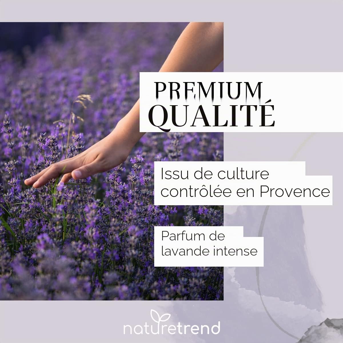 naturetrend Fleurs de Lavande séchées 1 kg – Lavande française de Provence I Dernière récolte I Parfum Intense et bleuâtre – pour Coussins parfumés, Pot-pourri