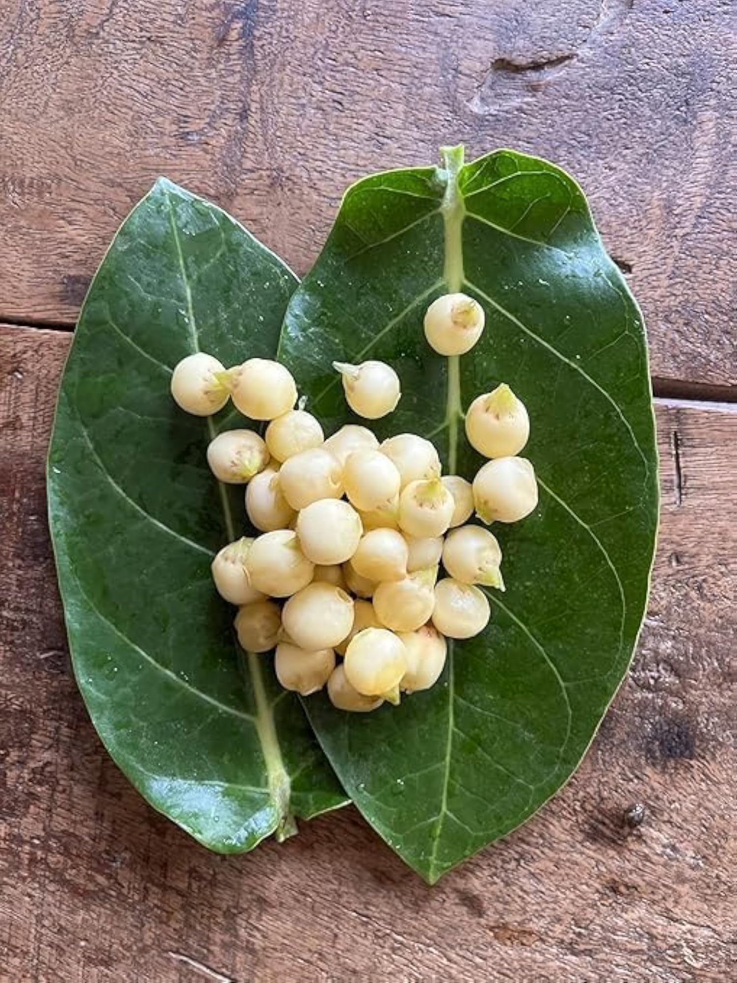Desi Mahua Flower Dried, 100g