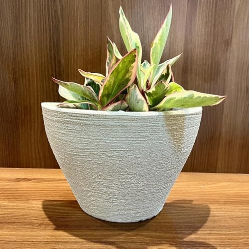 VASO POLIETILENO DE PAREDE DECORATIVO P/PLANTAS/JARDINS/ESCRITÓRIOS LUXO (BEGE)