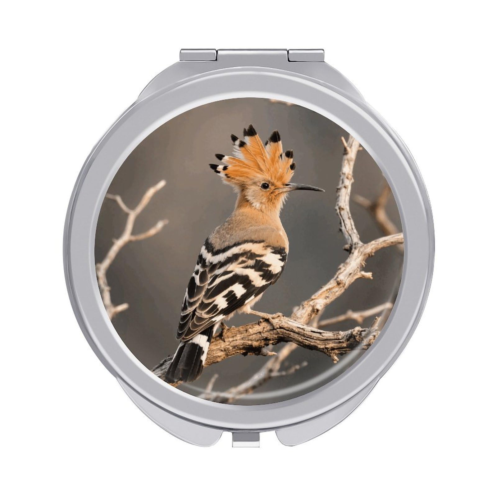 FodPand Compact Hand Mirror with 1x/2x Magnifying Round Travel Makeup Mirror Mini Foldable Hoopoe Cosmetic Mirrors Travel Essentials Gift for Women Girl Portable for Pocket Purse -Silver